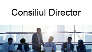 consiliul director